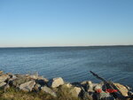pic_03623.jpg