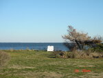 pic_03626.jpg