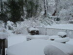 pic_03653.jpg