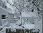 pic_03654.jpg