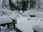 pic_03655.jpg