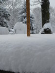 pic_03657.jpg