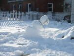 pic_03659.jpg