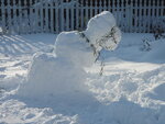 pic_03660.jpg