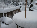 pic_03663.jpg