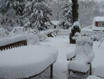 pic_03664.jpg