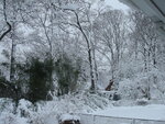 pic_03666.jpg