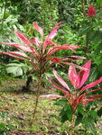 pic_10574.jpg