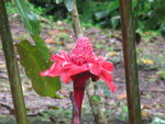 pic_10575.jpg
