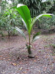 pic_10586.jpg