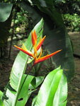 pic_10593.jpg