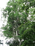 pic_10598.jpg