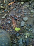 pic_10619.jpg