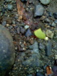 pic_10621.jpg