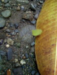 pic_10623.jpg