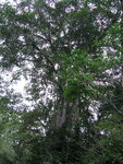 pic_10626.jpg