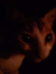 pic_10635.jpg
