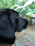 pic_10642.jpg