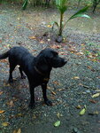 pic_10644.jpg