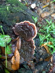 pic_10648.jpg