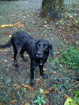 pic_10650.jpg