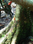 pic_10657.jpg