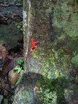 pic_10660.jpg