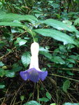 pic_10674.jpg