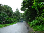 pic_10675.jpg