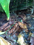 pic_10676.jpg