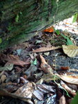 pic_10680.jpg