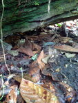 pic_10682.jpg