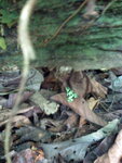 pic_10684.jpg