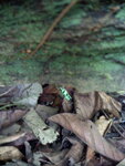 pic_10686.jpg