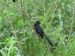 pic_10693.jpg