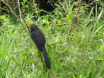 pic_10695.jpg