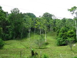 pic_10702.jpg