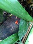 pic_10708.jpg