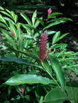 pic_10716.jpg