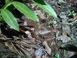 pic_10721.jpg