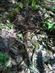 pic_10723.jpg
