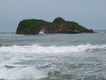 pic_10730.jpg