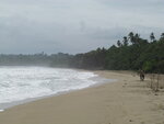 pic_10731.jpg