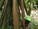 pic_10736.jpg