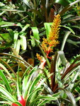 pic_10740.jpg