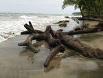 pic_10765.jpg