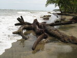 pic_10766.jpg
