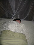 pic_10772.jpg