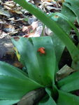 pic_10784.jpg