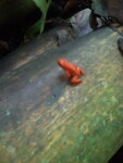 pic_10785.jpg